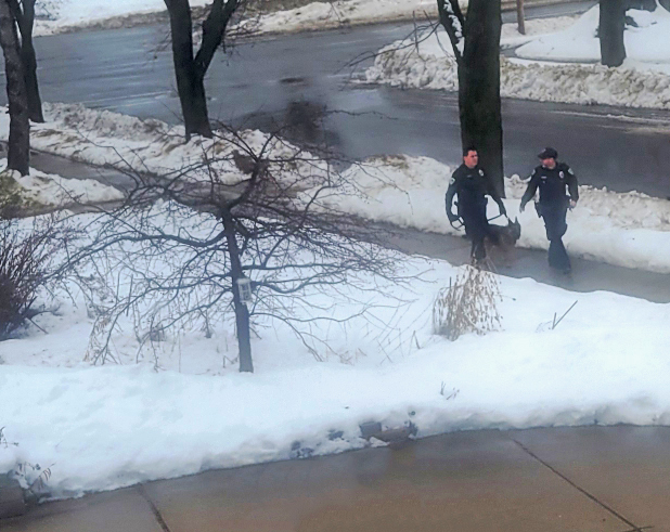 a photo of two police officers and a K9 searching for suspects